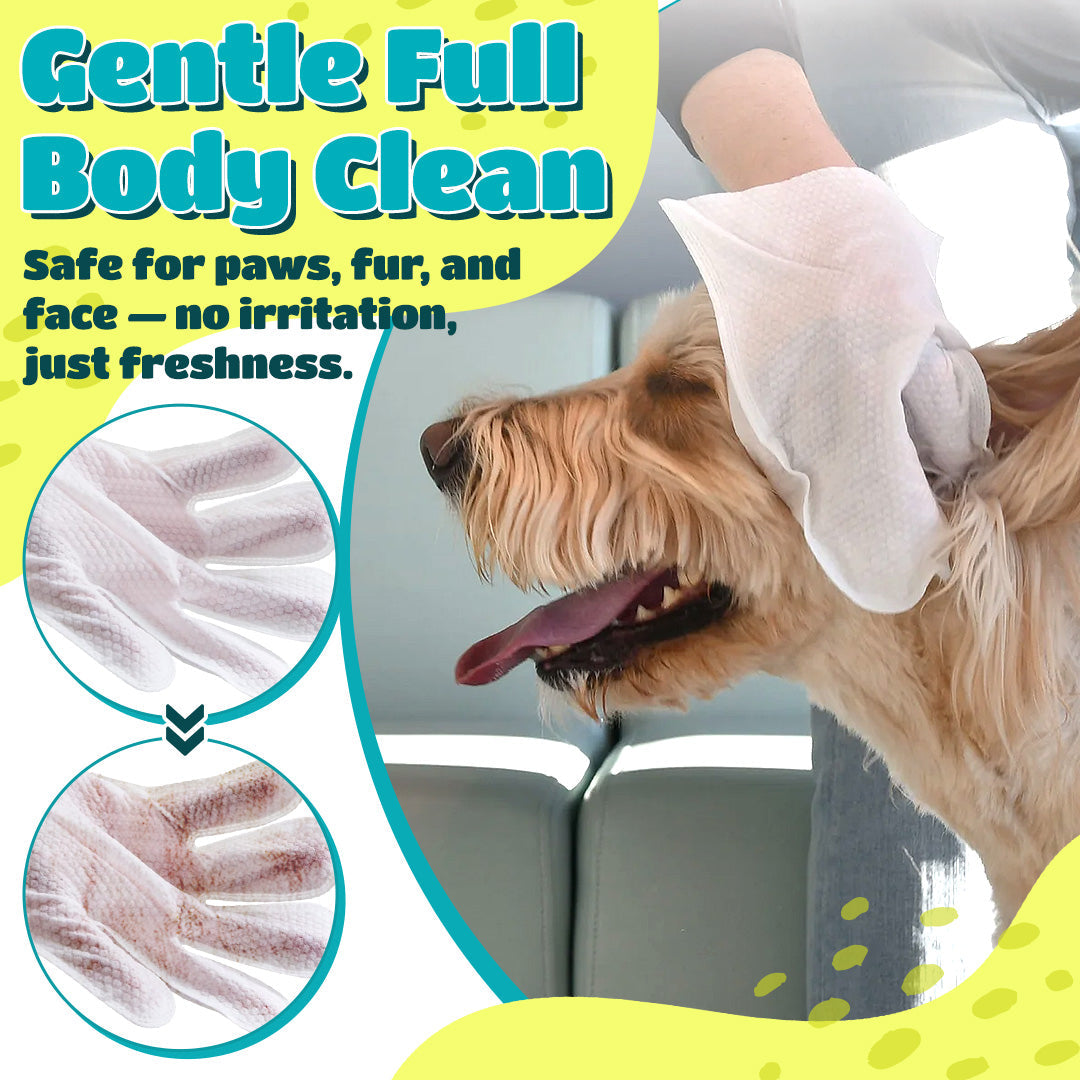 🔥 ODEIUN™ Rinse-Free Dog Shampoo Mitts – Hypoallergenic Pet Bath Wipes | 6-Pack for Easy Grooming & Sparkling Clean Fur 🐶✨