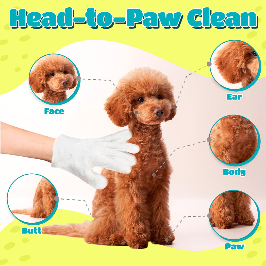 🔥 ODEIUN™ Rinse-Free Dog Shampoo Mitts – Hypoallergenic Pet Bath Wipes | 6-Pack for Easy Grooming & Sparkling Clean Fur 🐶✨