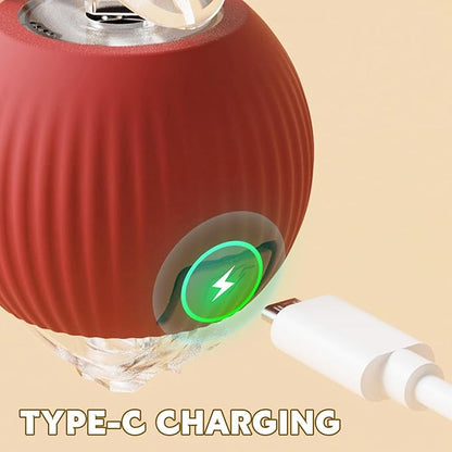 Interactive Pet Rolling Ball | Boosts Your Pet's Activity & Mental Stimulation 🐾