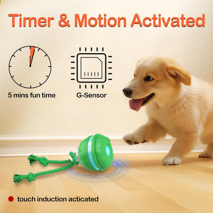 Interactive Pet Rolling Ball | Boosts Your Pet's Activity & Mental Stimulation 🐾