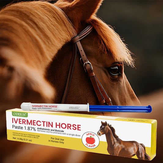 🔥 Last Day 49% OFF – Ivermectin Horse Dewormer Paste 1.87% (6.08g Tube)