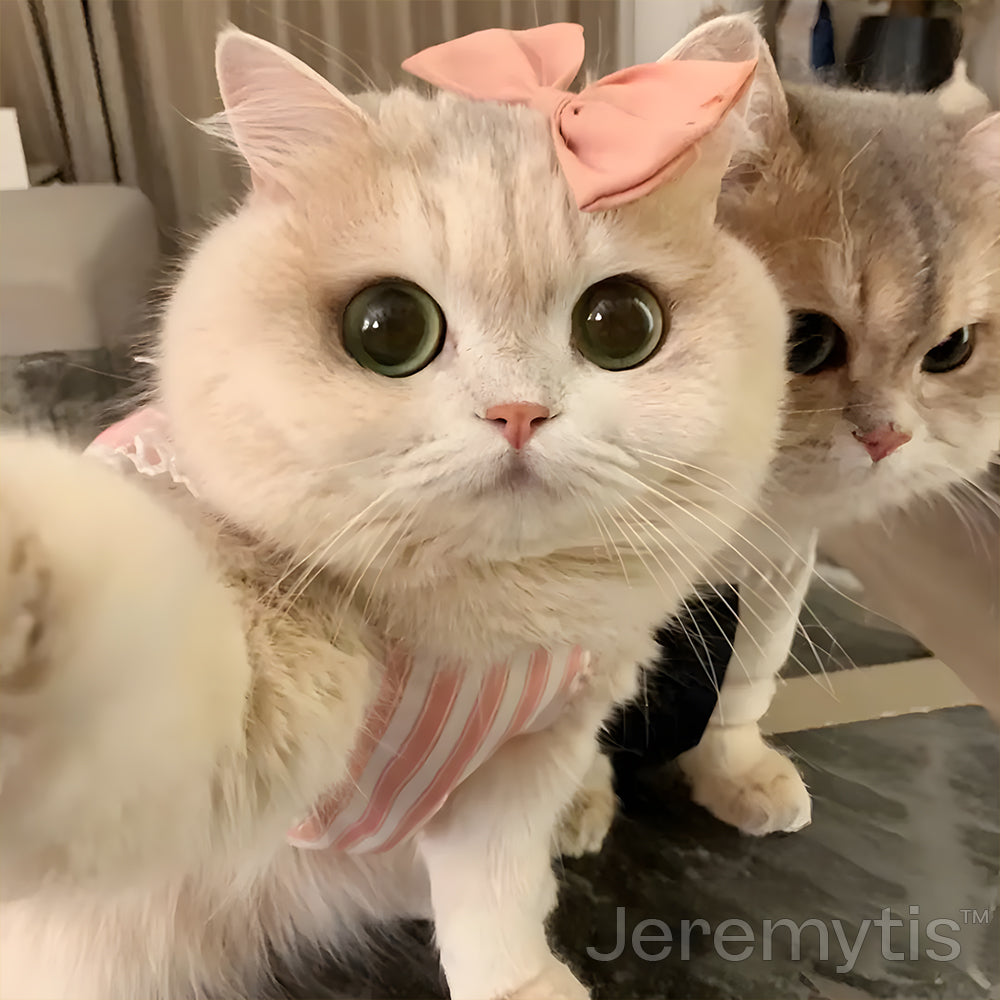 【Jeremytis™ Official Store】LUNA the Robot Cat 😺& TOBY the Robot Dog🐶 – Perfect Pet Duo for Kids & Family – Last Day for Sale!