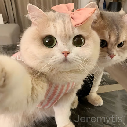 【Jeremytis™ Official Store】LUNA the Robot Cat 😺& TOBY the Robot Dog🐶 – Perfect Pet Duo for Kids & Family – Last Day for Sale!