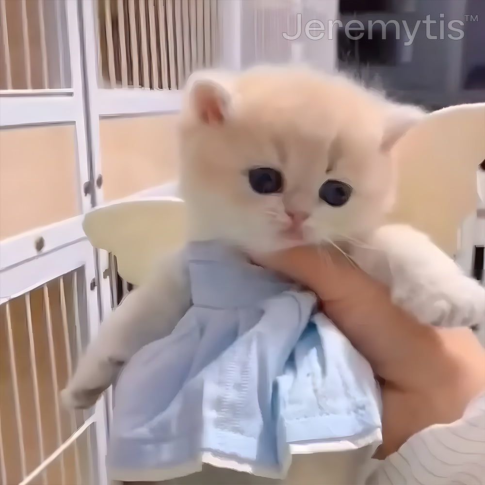 【Jeremytis™ Official Store】LUNA the Robot Cat 😺& TOBY the Robot Dog🐶 – Perfect Pet Duo for Kids & Family – Last Day for Sale!