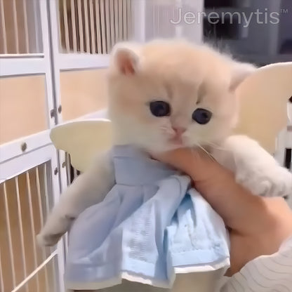 【Jeremytis™ Official Store】LUNA the Robot Cat 😺& TOBY the Robot Dog🐶 – Perfect Pet Duo for Kids & Family – Last Day for Sale!