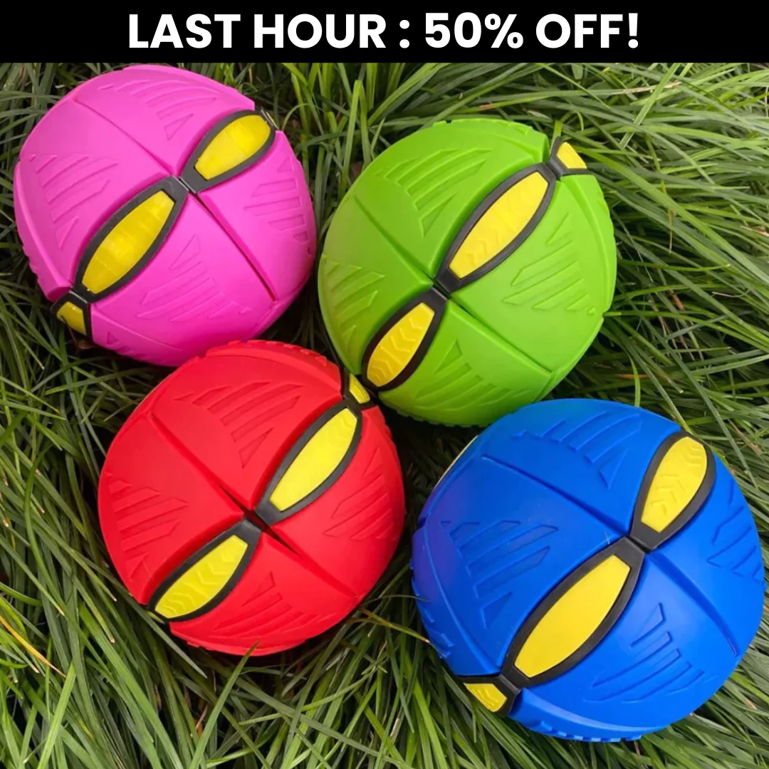 The Doggy Disc Ball(With Light) 🐾🌟