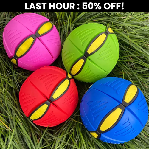 The Doggy Disc Ball(With Light) 🐾🌟