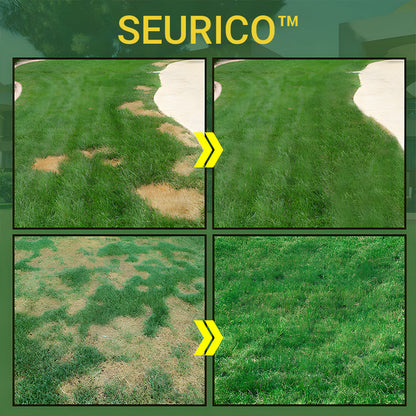 🎉 Hot Sale🌱Seurico™ Green grass and damage to protect lawn spray
