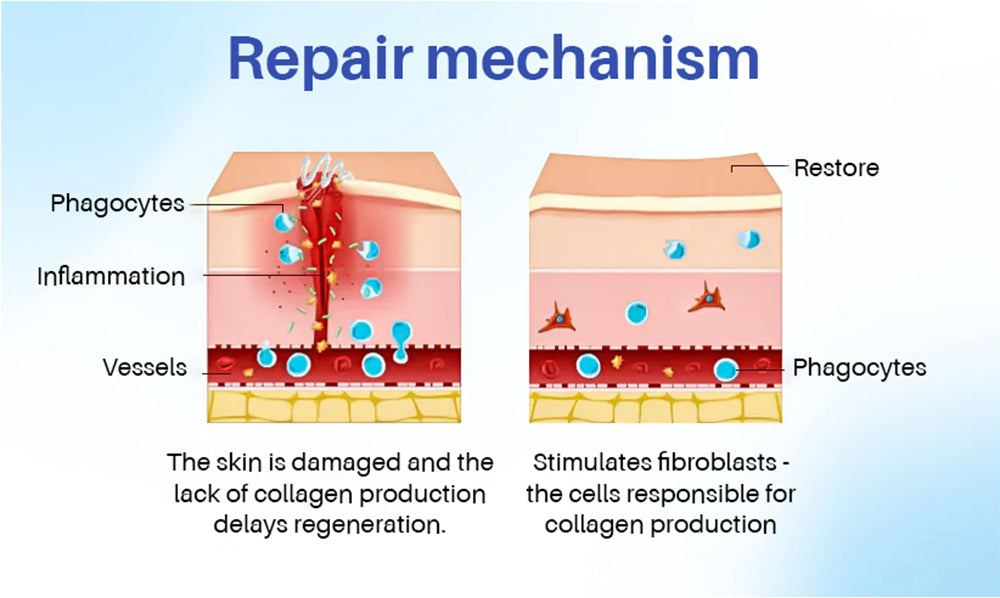 Seurico™ SilkScar Scar Treatment & Skin Repair Serum