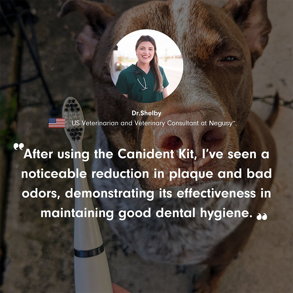 Negusy™ Pet Ultrasonic Toothbrush – Professional Tartar Removal & Fresh Breath for Dogs