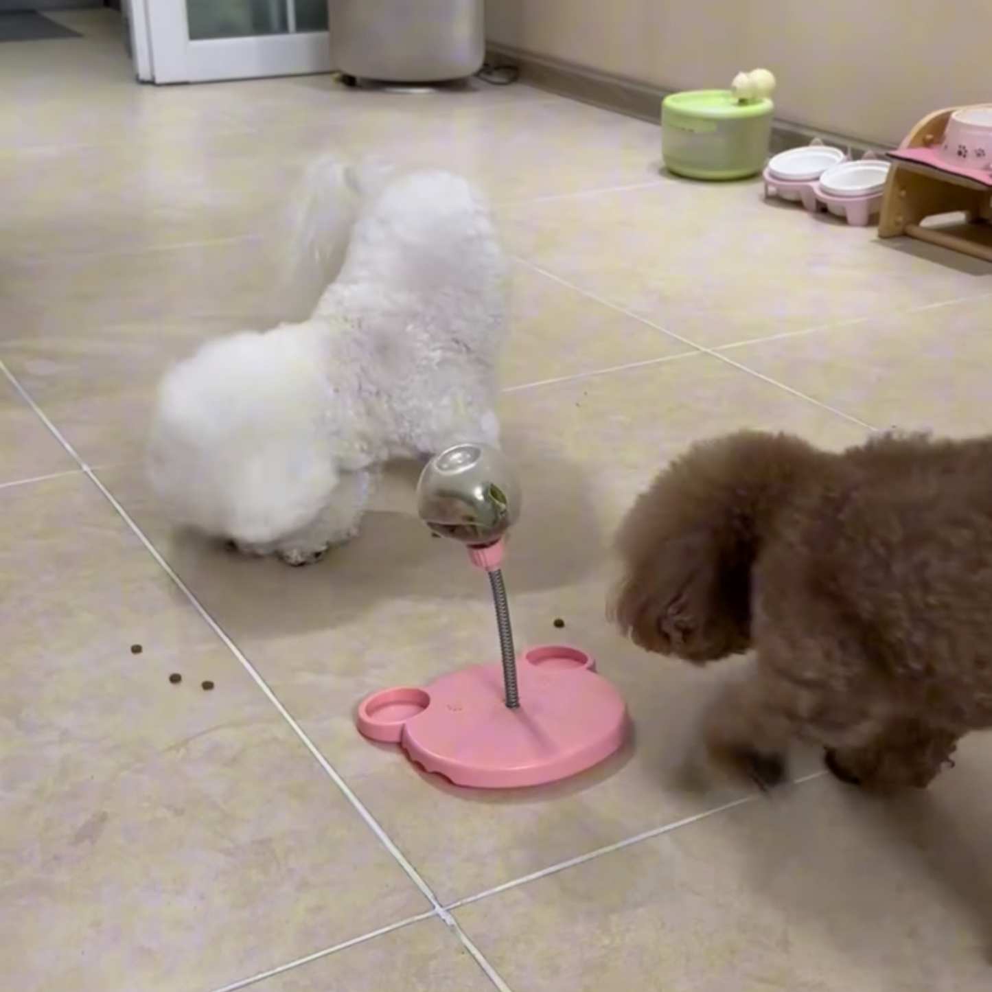 Chewie TreatBall Slow Feeder