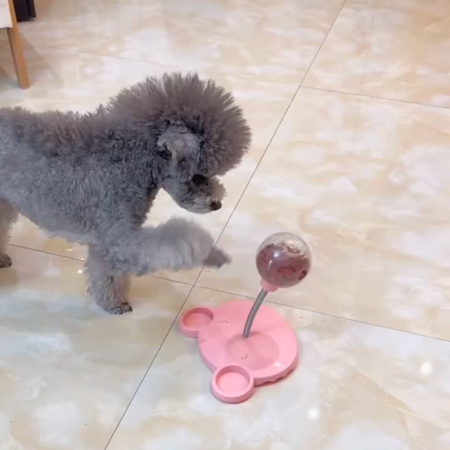 Chewie TreatBall Slow Feeder