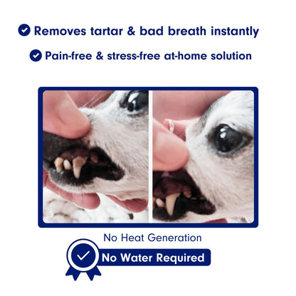 Negusy™ Pet Ultrasonic Toothbrush – Professional Tartar Removal & Fresh Breath for Dogs