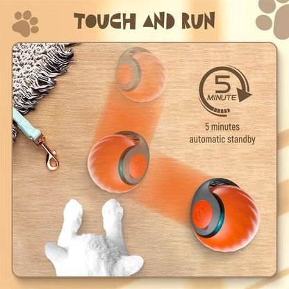 🐱Interactive Electric Roller Ball with Teasing Tail - Smart Cat Toy 🎉