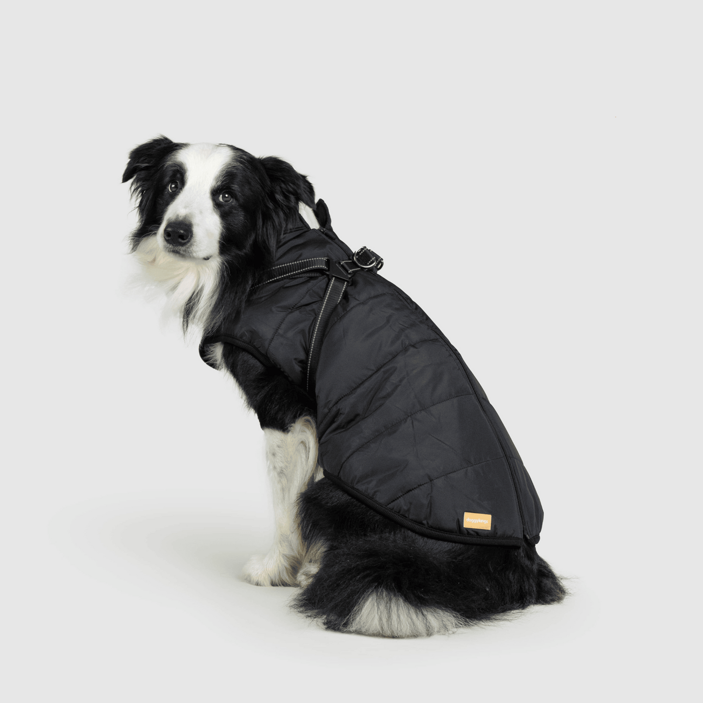 Seurico™ waterproof thick warm 3 in 1 pet jacket
