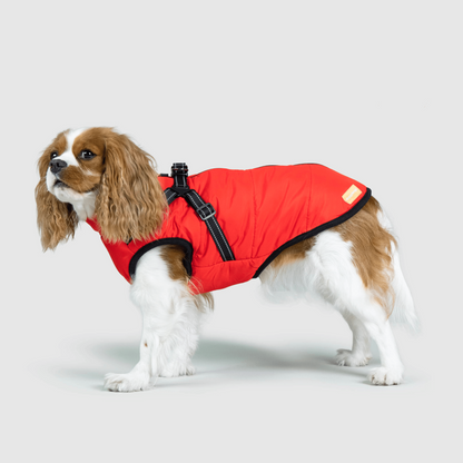 Seurico™ waterproof thick warm 3 in 1 pet jacket