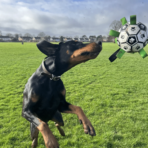 Viral Doggie Ball - Ultimate Tear-Resistant Fun